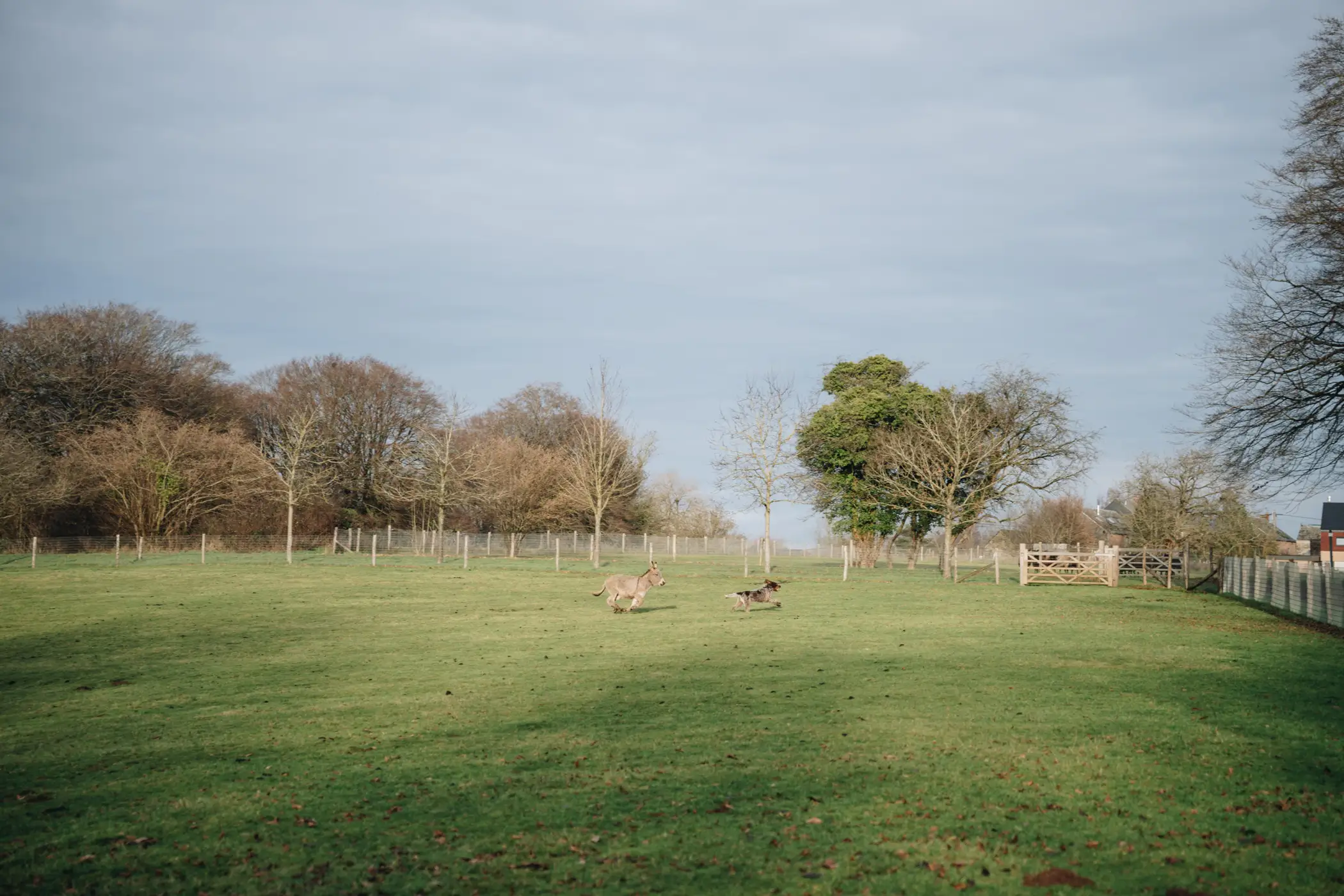 Cottage for 2 people in Gesves Les Cabanes des Pierreux : Ralf